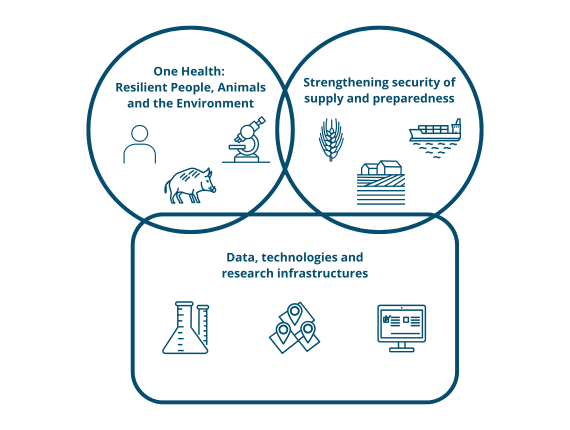 Research focus areas