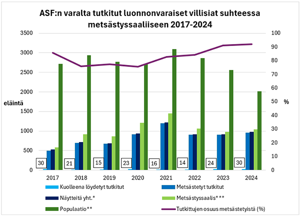 ASF:n varalta tutkitut luonnonvaraiset villisiat suhteessa metsästyssaaliiseen 2017-2024