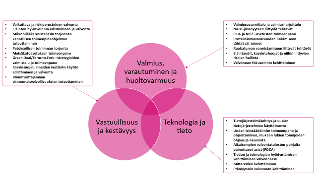 Yhteiset kehitysteemat ovat valmius, varautuminen ja huoltovarmuus, Vastuullisuus ja kestävyys sekä Teknologia ja tieto. Vastuullisuus ja kestävyys-teema sisältää useita erilaisia tehtäviä kuten vaikuttava ja riskiperusteinen valvonta, eläinten hyvinvoinnin edistäminen ja valvonta, mikrobilääkeresistenssin torjunnan kansallisen toimenpideohjelman toteuttaminen, petoksellisen toiminnan torjunta ja metsäkatoasetuksen toimeenpano. Valmius, varautuminen ja huoltovarmuus-teema sisältää useita erilaisia tehtäviä kuten valmiussuunnittelu ja valmiusharjoittelu, NATO-jäsenyyteen liittyvät tehtävät, CER- ja NIS2-asetusten toimeenpano, proteiiniomavaraisuuden lisäämiseen tähtäävät toimet sekä ruokaturvan varmistamiseen liittyvät tehtävät. Teknologia ja tieto-teema sisältää useita erilaisia tehtäviä kuten tietojärjestelmäkehitys ja uusien tietojärjestelmien käyttöönotto, uuden lainsäädännön toimeenpano ja ohjeistaminen, mukaan lukien toimijoiden ohjaus ja neuvonta, aikaisempien valvontatulosten pohjalta painotettavat asiat, tiedon ja teknologian hyödyntämisen kehittäminen valvonnassa sekä mittareiden kehittäminen.