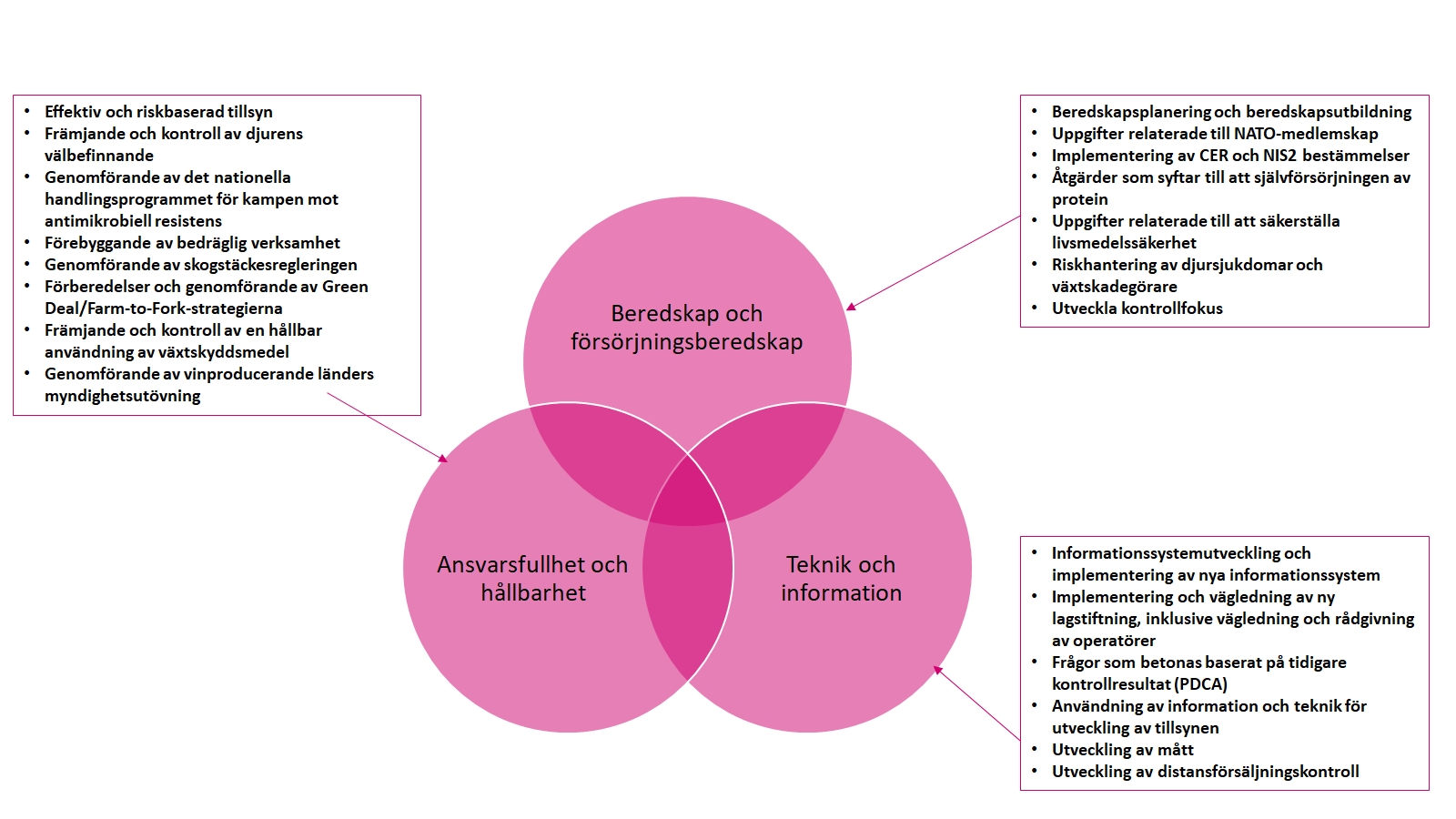 Vanliga utvecklingsteman är beredskap och försörjningstrygghet, Ansvar och hållbarhet samt Teknik och kunskap. Ansvars- och hållbarhetstemat omfattar flera olika uppgifter, såsom effektiv och riskbaserad tillsyn, främjande och tillsyn av djurens välbefinnande, genomförande av det nationella handlingsprogrammet för att bekämpa antimikrobiell resistens, bedrägeribekämpning och implementering av avskogningsförordningen. Temat beredskap och försörjningstrygghet omfattar flera olika uppgifter såsom beredskapsplanering och beredskapsutbildning, uppgifter relaterade till NATO-medlemskap, implementering av CER- och NIS2-föreskrifter, åtgärder som syftar till att öka proteinsjälvförsörjningen och uppgifter relaterade till att säkerställa livsmedelssäkerhet. Teknik- och informationstemat omfattar flera olika uppgifter, såsom utveckling av informationssystem och införande av nya informationssystem, implementering och vägledning av ny lagstiftning, inklusive vägledning och rådgivning av verksamhetsutövare, frågor som ska lyftas fram utifrån tidigare kontrollresultat, utveckling av användningen av information och teknik i kontroll, och utveckling av mått.