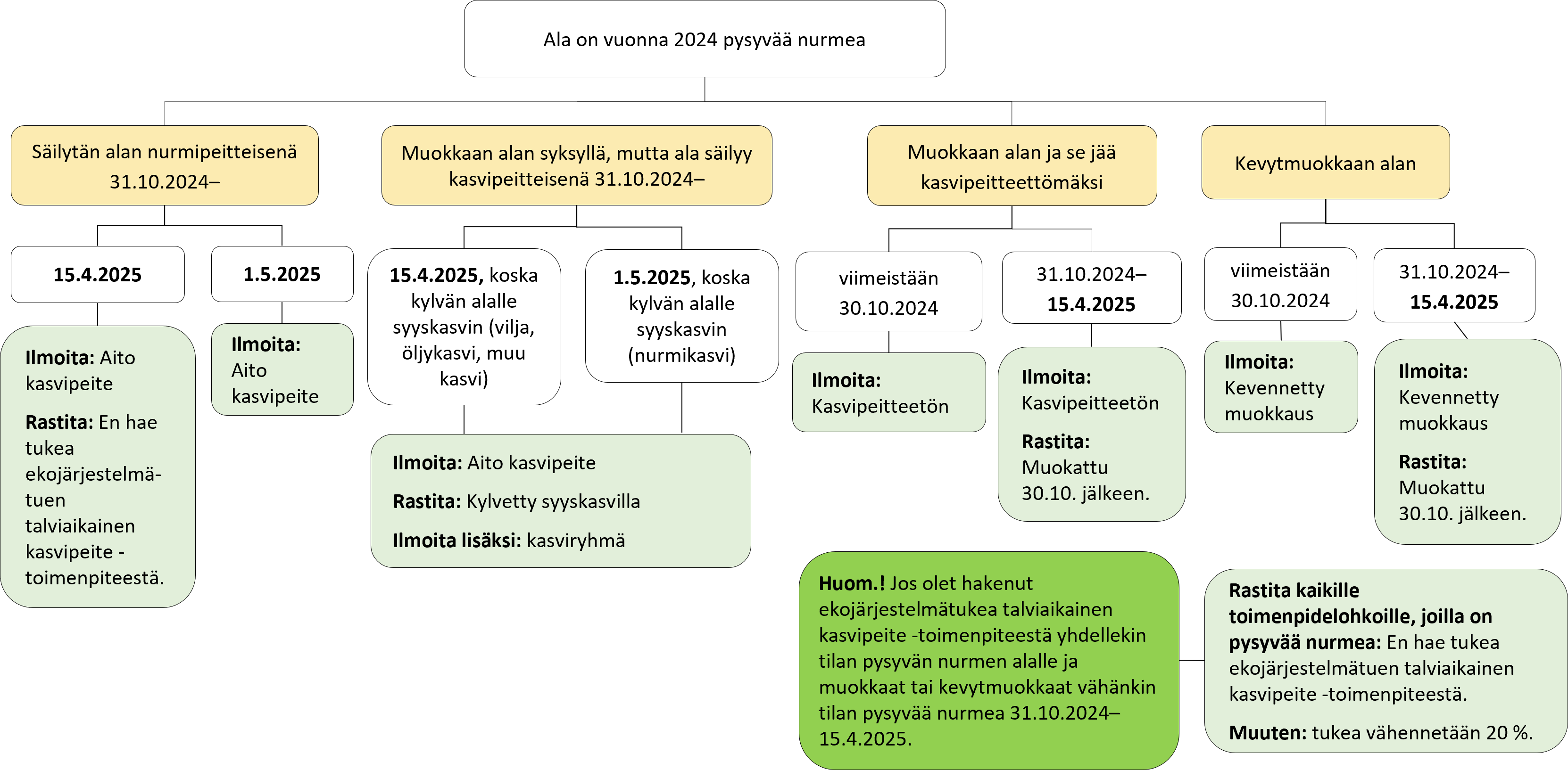 Kaaviokuva. Vastaavat tiedot tekstimuodossa kuvan alla.